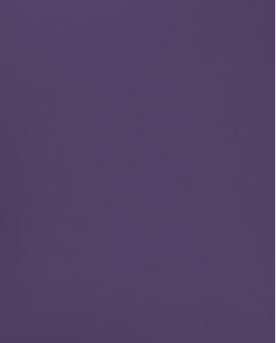 XRZ - Purple Rain